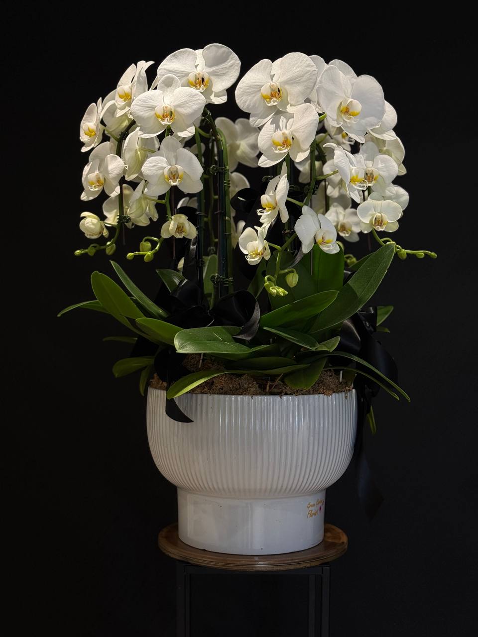 White Phalaenopsis Orchid Planter — 6 Stems