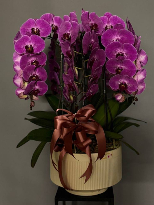 Pink majestic vase arrangement