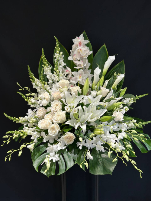 white blast arrangement 