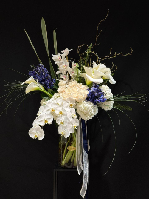  millions stars arrangement 